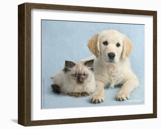 Clara and Cassie-Rachael Hale-Framed Art Print