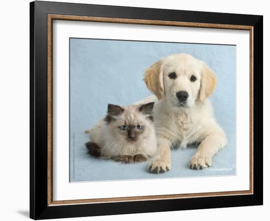 Clara and Cassie-Rachael Hale-Framed Art Print