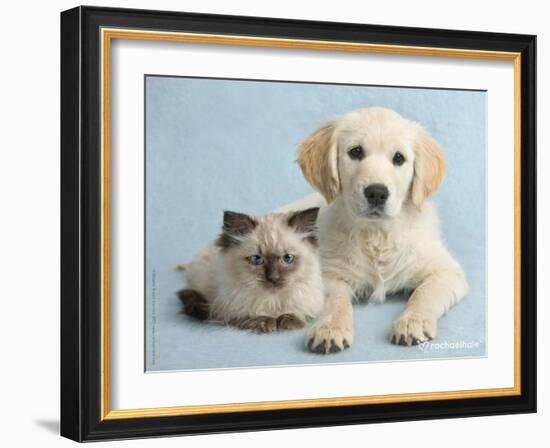 Clara and Cassie-Rachael Hale-Framed Art Print