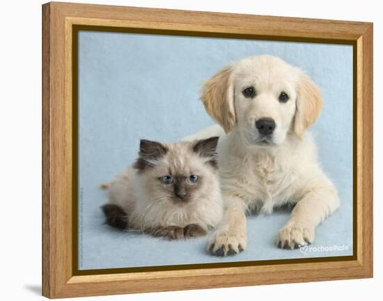 Clara and Cassie-Rachael Hale-Framed Premier Image Canvas