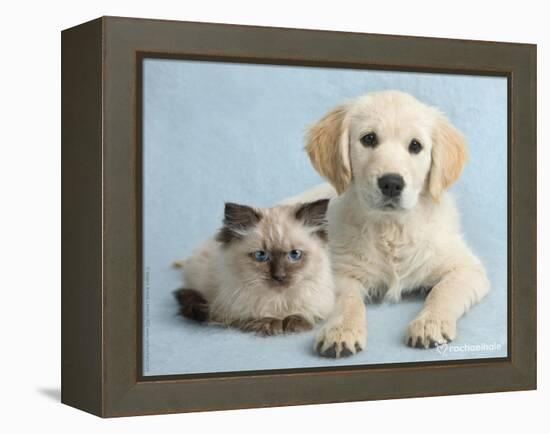 Clara and Cassie-Rachael Hale-Framed Premier Image Canvas