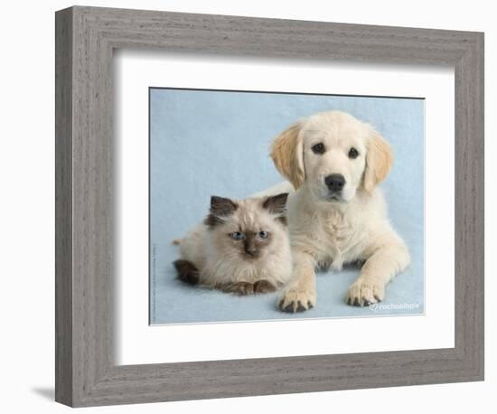 Clara and Cassie-Rachael Hale-Framed Photographic Print