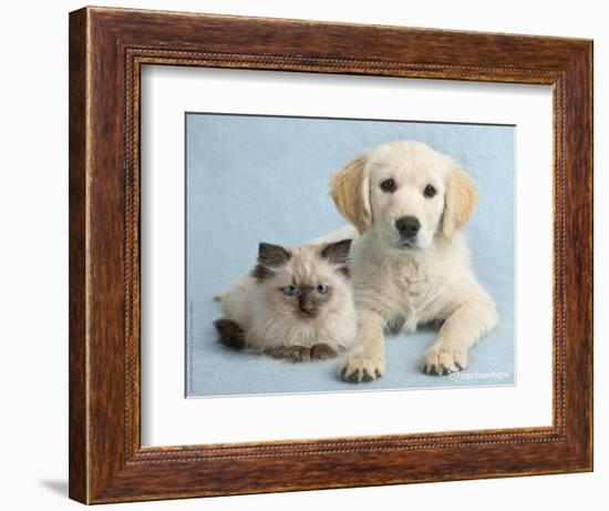 Clara and Cassie-Rachael Hale-Framed Photographic Print