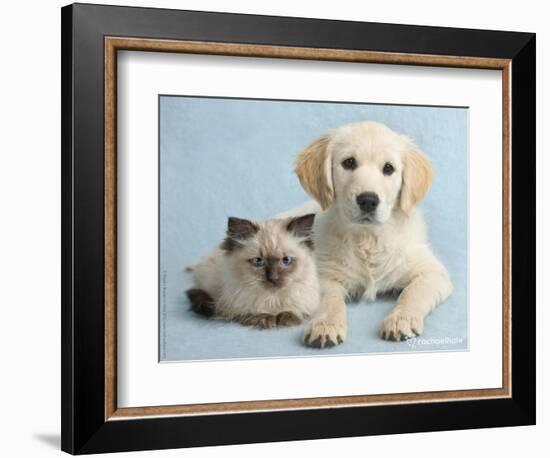 Clara and Cassie-Rachael Hale-Framed Photographic Print