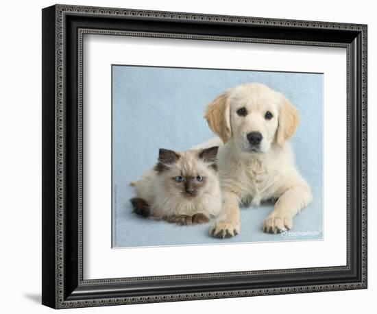 Clara and Cassie-Rachael Hale-Framed Photographic Print