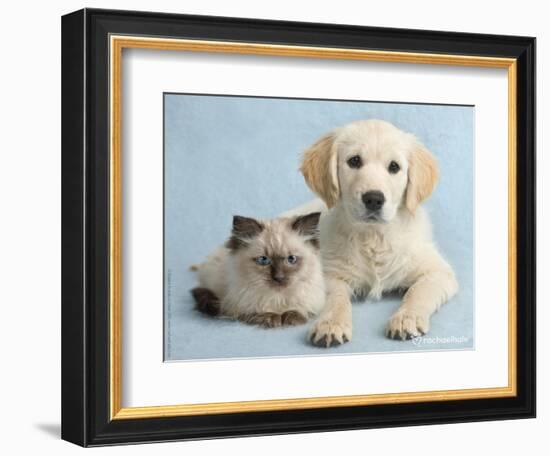 Clara and Cassie-Rachael Hale-Framed Photographic Print