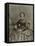 Clara Barton, c.1865-American Photographer-Framed Premier Image Canvas