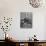 Clara Barton-Mathew Brady-Photographic Print displayed on a wall