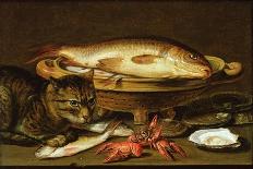 A Still Life with Carp in a Ceramic Colander, Oysters, Crayfish, Roach and a Cat on the Ledge…-Clara Peeters-Giclee Print