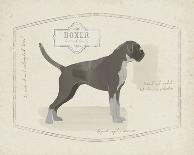 Dog Club - Boxer-Clara Wells-Giclee Print
