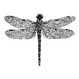 Dragonfly II-Clara Wells-Giclee Print