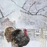 Christmas turkey-Clare Davis London-Giclee Print