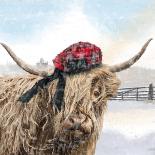 Highland Cow 002-Clare Davis London-Giclee Print