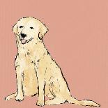 Boho Dogs VIII-Clare Ormerod-Giclee Print