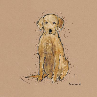 golden retriever artwork