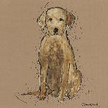 Doggy Tales II-Clare Ormerod-Giclee Print