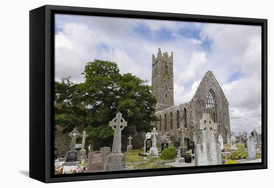 Claregalway Franciscan Friary, Near Galway, County Galway, Connacht, Republic of Ireland-Gary Cook-Framed Premier Image Canvas