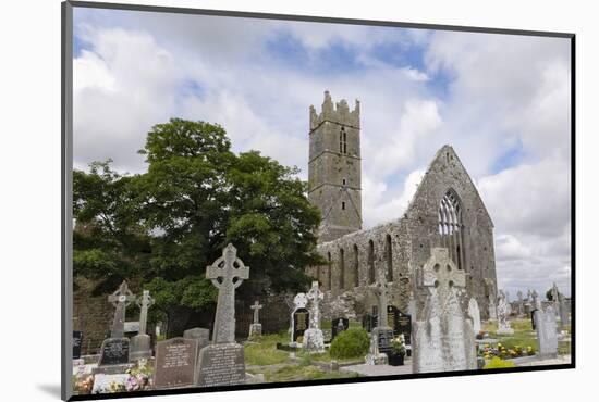 Claregalway Franciscan Friary, Near Galway, County Galway, Connacht, Republic of Ireland-Gary Cook-Mounted Photographic Print