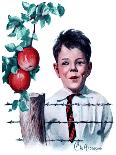 "Boy Tempted by Apples," Saturday Evening Post Cover, October 4, 1924-Clarence William Anderson-Mounted Giclee Print
