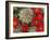 Claret Cup Cactus Flowering on Gooseberry Mesa, Utah, USA-Chuck Haney-Framed Photographic Print