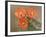 Claret Cup Cactus Flowers, Hill Country, Texas, USA-Rolf Nussbaumer-Framed Photographic Print