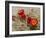 Claret Cup or Mojave Mound Cactus in Bloom, Mojave National Preserve, California, Usa-Rob Sheppard-Framed Photographic Print