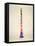 Clarinet-Dan Sproul-Framed Stretched Canvas