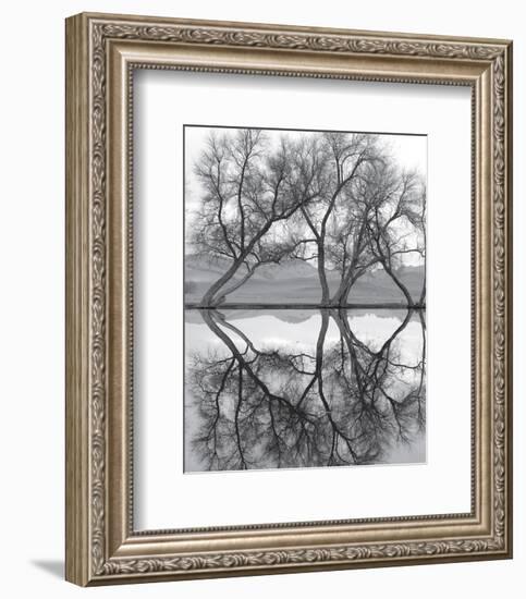 Clarity in the Waters-null-Framed Art Print