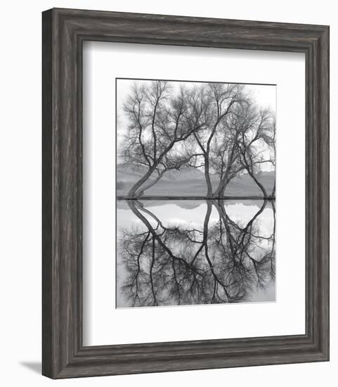 Clarity in the Waters-null-Framed Art Print