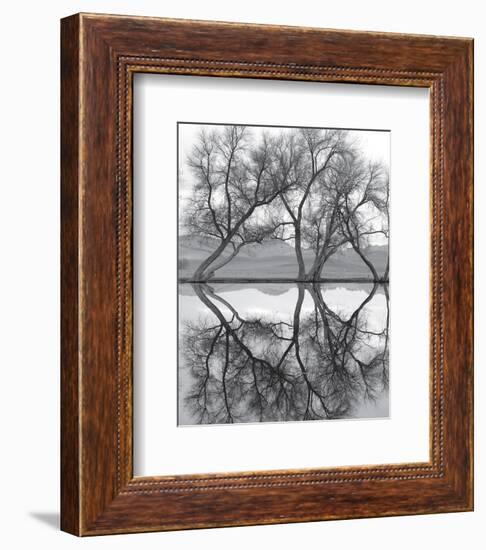 Clarity in the Waters-null-Framed Art Print