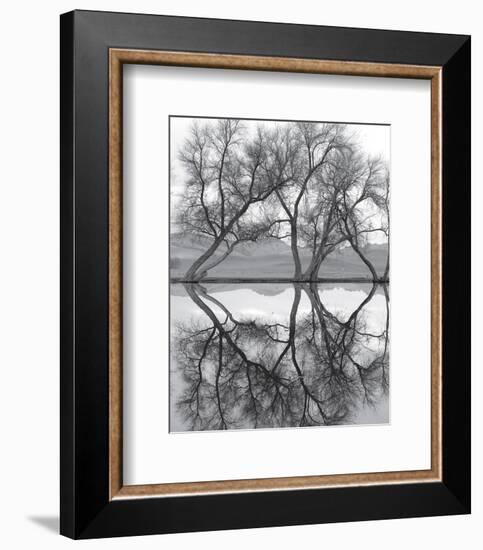 Clarity in the Waters-null-Framed Art Print