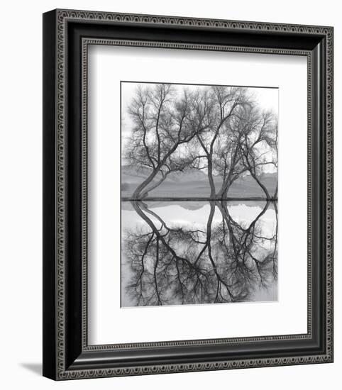 Clarity in the Waters-null-Framed Art Print