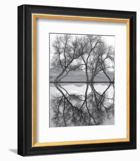 Clarity in the Waters-null-Framed Art Print