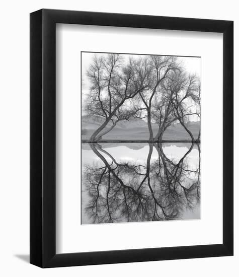 Clarity in the Waters-null-Framed Art Print