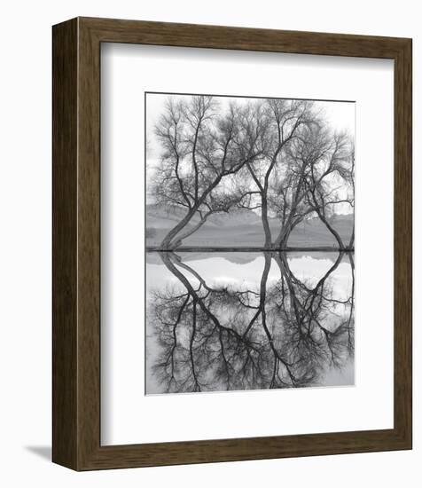 Clarity in the Waters-null-Framed Art Print