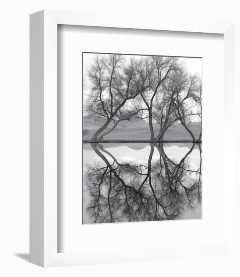 Clarity in the Waters-null-Framed Art Print