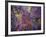 Clarity of Insight-MusicDreamerArt-Framed Giclee Print