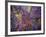 Clarity of Insight-MusicDreamerArt-Framed Giclee Print