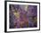 Clarity of Insight-MusicDreamerArt-Framed Giclee Print