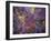 Clarity of Insight-MusicDreamerArt-Framed Giclee Print