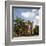 Clark Hall At The University Of Alabama-Carol Highsmith-Framed Art Print