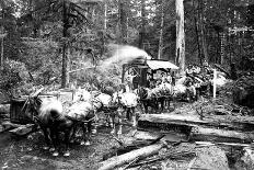 No. Camp, C.H. Clemons Logging Co, Melbourne, WA, 1918-Clark Kinsey-Premier Image Canvas