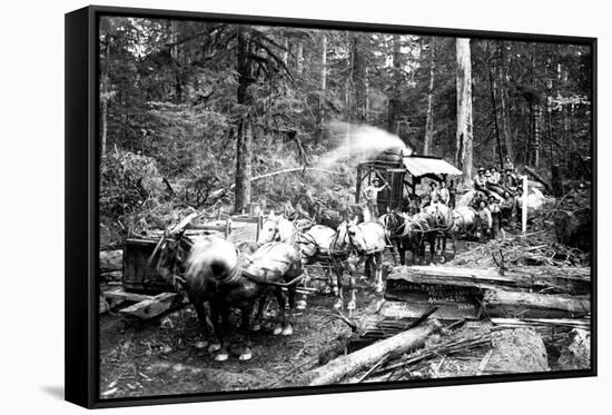 Stretched Canvas Print, , large