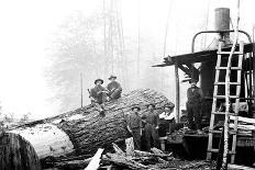 No. Camp, C.H. Clemons Logging Co, Melbourne, WA, 1918-Clark Kinsey-Mounted Giclee Print