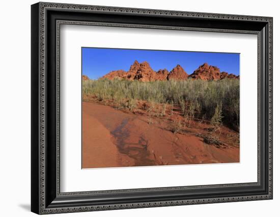 Clark Memorial wash, Valley of Fire State Park, Overton, Nevada, United States of America, North Am-Richard Cummins-Framed Photographic Print