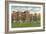 Clark University, Worcester, Mass.-null-Framed Art Print