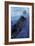 Clark Whale and Ship 5-Erin Clark-Framed Giclee Print