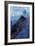 Clark Whale and Ship 5-Erin Clark-Framed Giclee Print