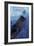 Clark Whale and Ship 5-Erin Clark-Framed Giclee Print