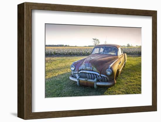 Clarksdale, Mississippi, Cotton Field, Vintage Buick Super (1950)-John Coletti-Framed Photographic Print